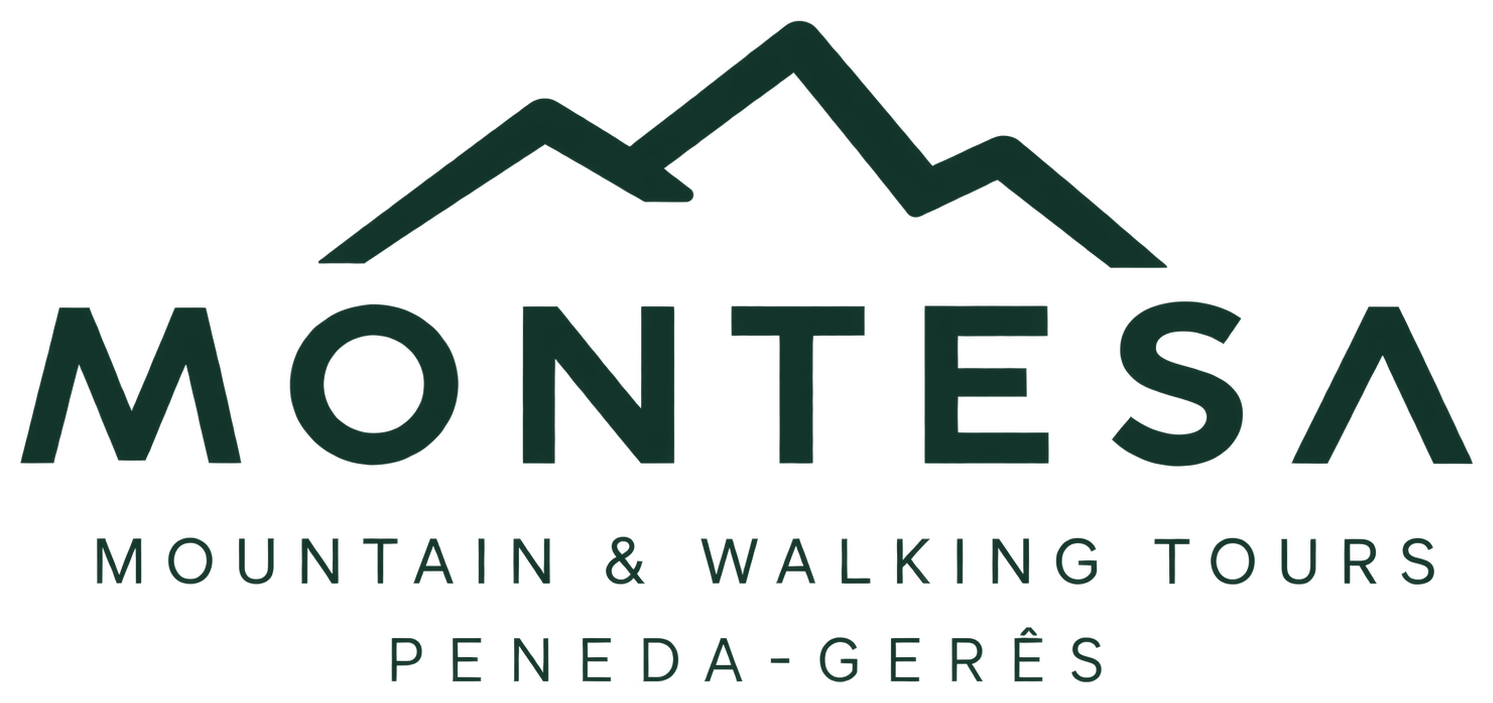 Walking & Hiking Tours in Portugal – Montesa