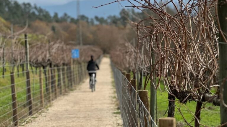 Cycling trail through the countryside of the Minho