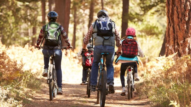 Family cycling on a forest trail in the Minho