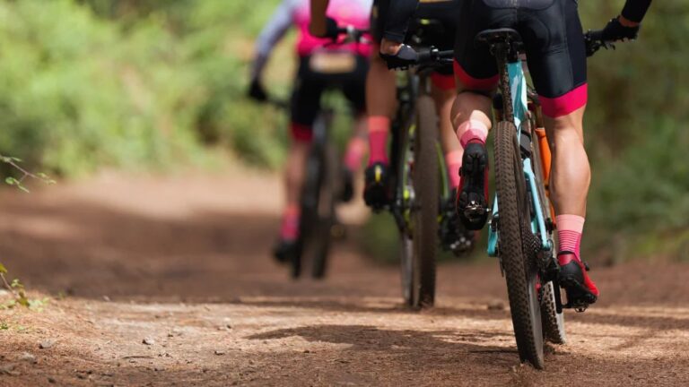 Guided mountain bike group on a forest trail in Gerês