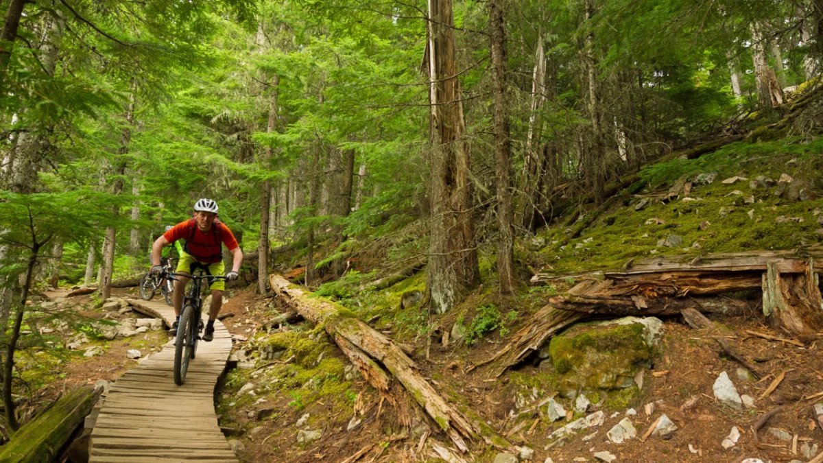 Mountain biker riding through the Albergaria Forest in Gerês