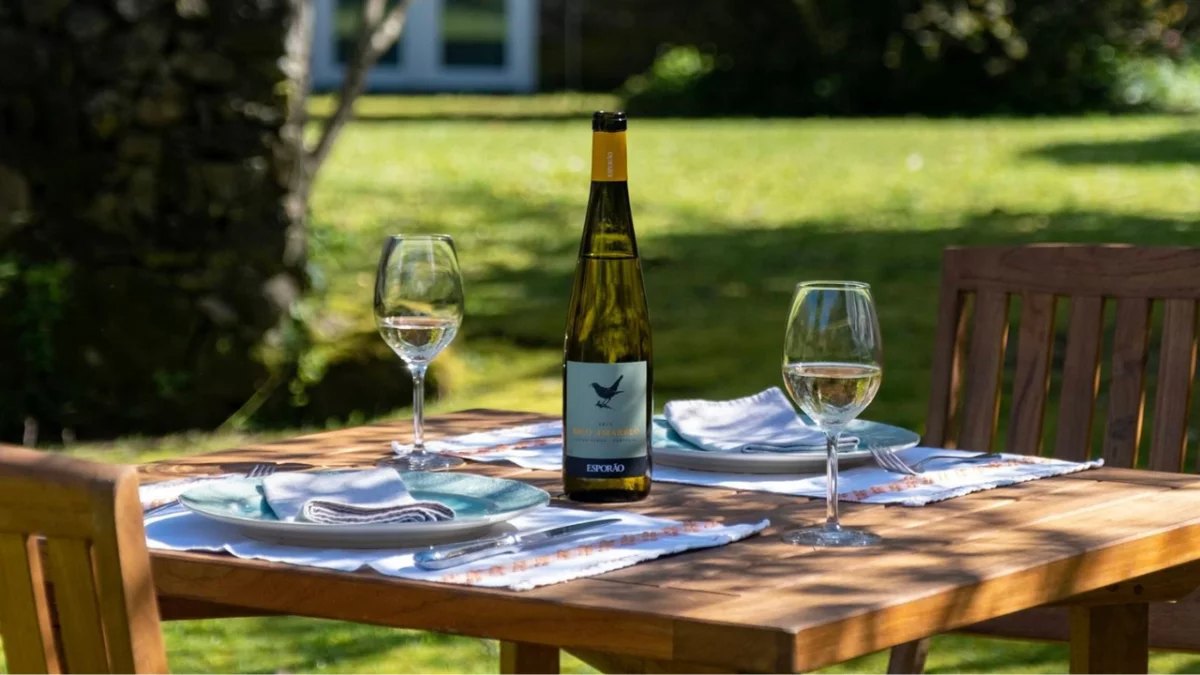 Vinho Verde tasting table set outdoors at a wine farm
