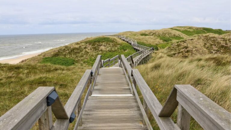 Wooden boardwalk on the Portuguese Coastal Camino de Santiago