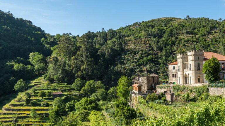 Historic house among the green terraces of Sistelo