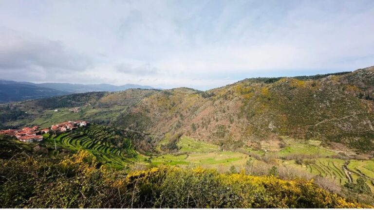 Mountain pasture above Sistelo