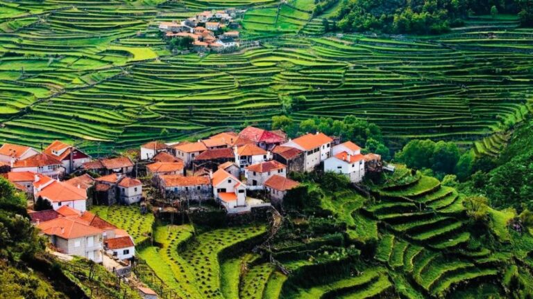 Terraced fields of Sistelo, the Little Tibet of Portugal
