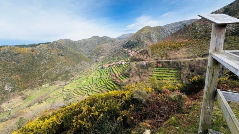 Terraced fields climbing the Sistelo valley