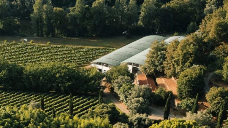 Vinho Verde vineyard and family wine farm